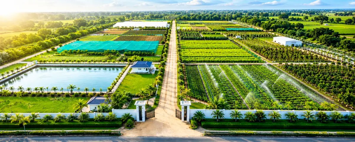 Sustainable farmland ecosystem featuring organized crop zones, irrigation networks, access roads, and environmentally responsible farm management.