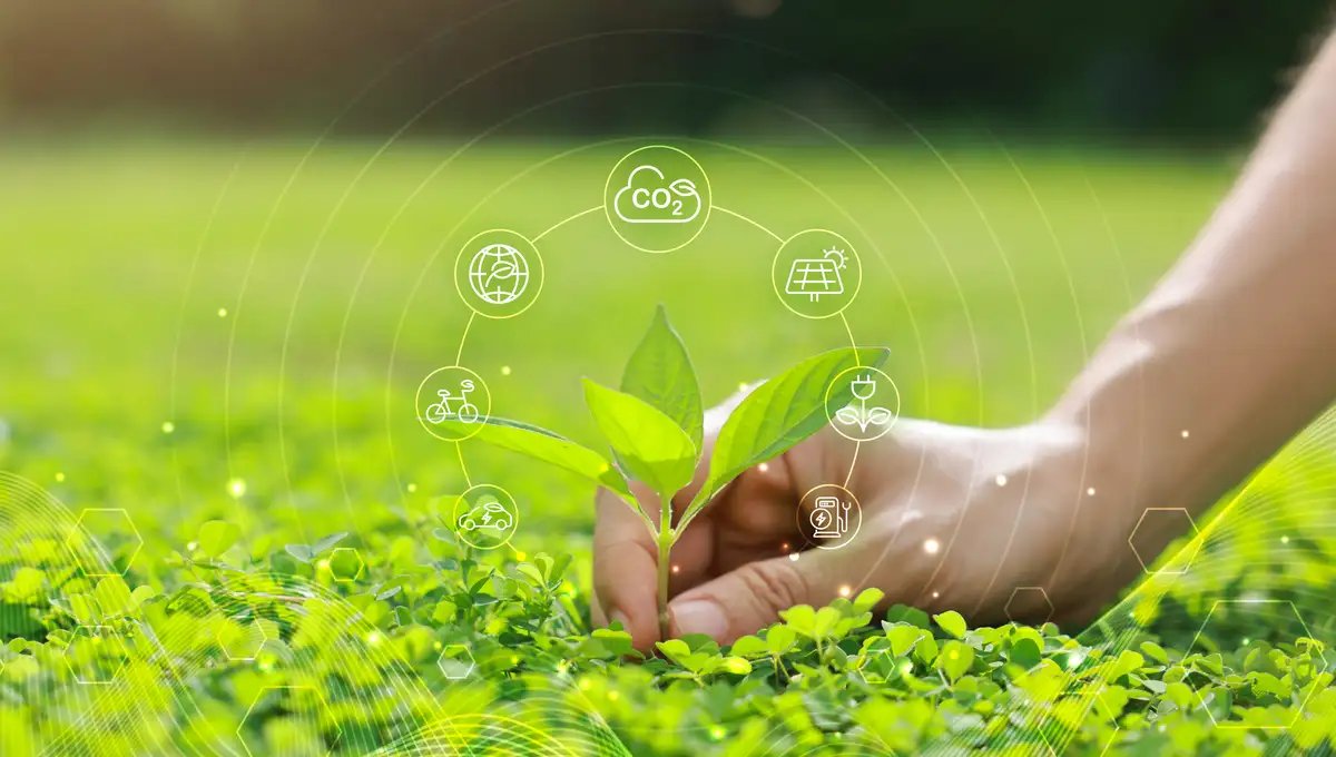 How Regenerative Farming is Healing Depleted Soils